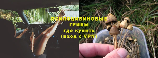 амф Алзамай