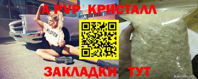 крисы Котовск