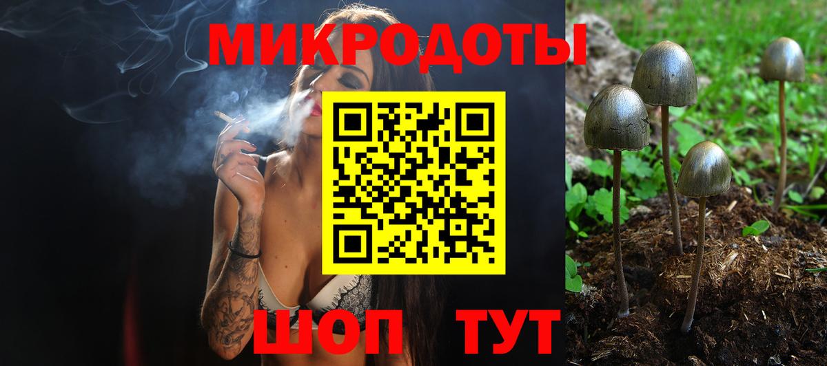 Псилоцибиновые грибы Psilocybine cubensis  Вход с VPN  Сочи  Псилоцибиновые грибы Cubensis 